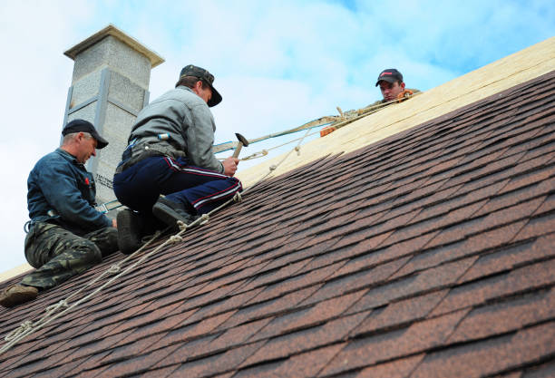 Roof Repair Estimates in Hugo, MN